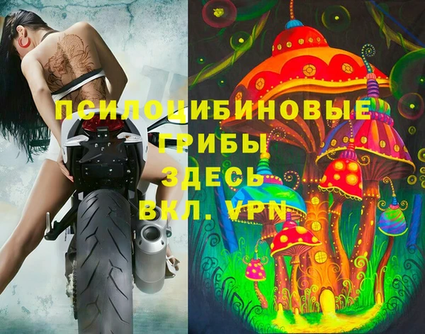 метамфетамин Алексеевка
