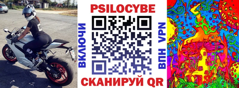 где купить наркоту  Южно-Сахалинск  Галлюциногенные грибы Magic Shrooms 